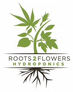 Roots2Flowers